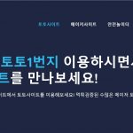 한국 온라인 스포츠 베팅 시장의 다양한 유형